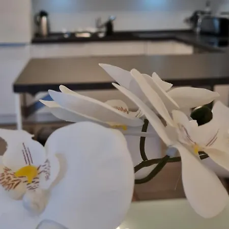 別荘 Mutti 's Haus -zur Suedheide