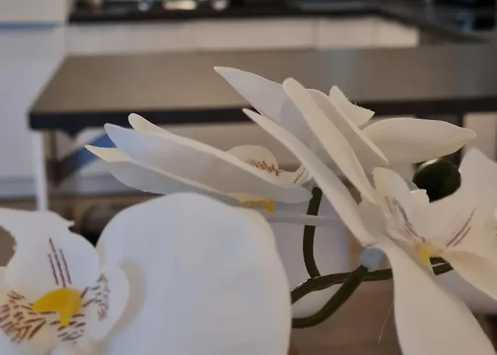 Dom wakacyjny Mutti 's Haus -zur Suedheide